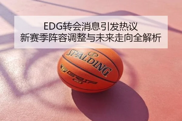 EDG转会消息引发热议 新赛季阵容调整与未来走向全解析